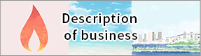 Description of business